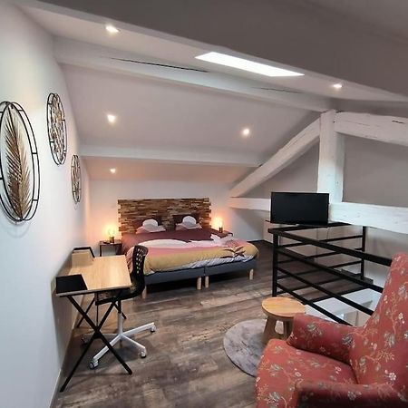 Appartement T2 -55M2- Elegant Et Chaleureux à Montbrison Extérieur photo